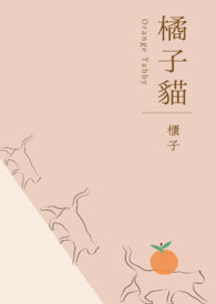 橘子猫轻小说